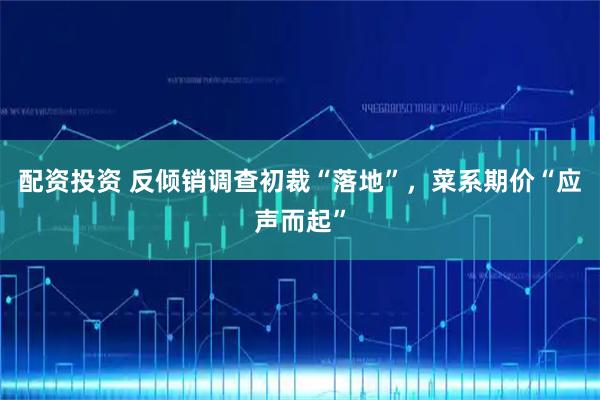 配资投资 反倾销调查初裁“落地”，菜系期价“应声而起”