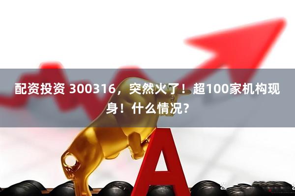 配资投资 300316，突然火了！超100家机构现身！什么情况？