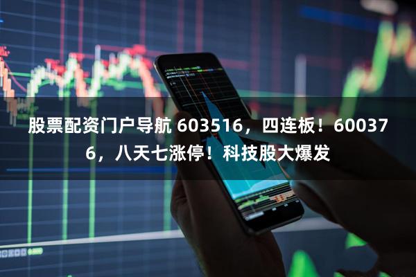 股票配资门户导航 603516，四连板！600376，八天七涨停！科技股大爆发