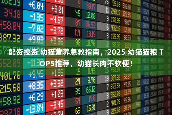 配资投资 幼猫营养急救指南，2025 幼猫猫粮 TOP5推荐，幼猫长肉不软便！